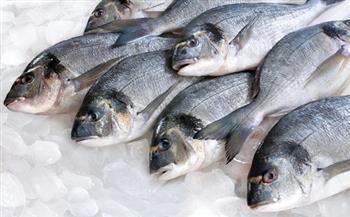 أسعار الأسماك اليوم 1-10-2021