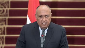 شكري: مصر لا تضع شروطًا مسبقة للانخراط في المفاوضات مع إثيوبيا
