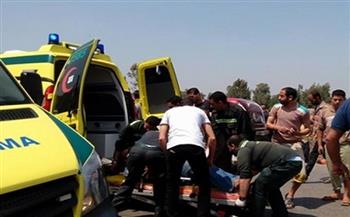 بينهم 3 أطفال.. مصرع وإصابة 7 أشخاص في حادث من أسرة واحدة بسوهاج 