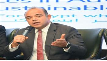 رئيس البورصة: ضمان استمرارية تدفق تحويلات المصريين بالخارج يتطلب استقرار السياسات الاقتصادية