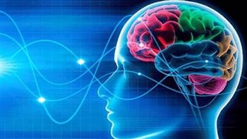 علماء أمريكيون يتوصلون لخلايا دماغية جديدة مسؤولة عن التحكم فى الحركة