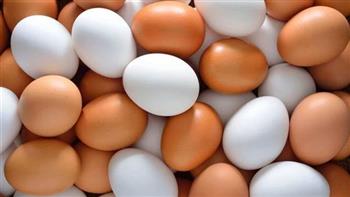 متى تنخفض أسعار البيض؟ «منتجي الدواجن» ترد