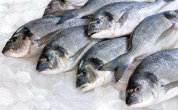 أسعار الأسماك اليوم 13-10-2021