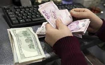 مستوى قياسى جديد.. انخفاض جديد لليرة التركية مقابل الدولار