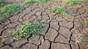 الحكومة الكينية تعزز جهودها لمساعدة المتضررين من موجة الجفاف