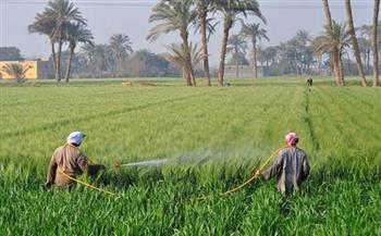 الزراعة: نساهم في تشغيل 25% من القوى العاملة بمصر