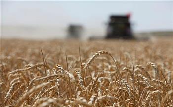 بعد ارتفاع أسعار الغذاء عالميا.. هل تتأثر المحاصيل؟ خبراء يجيبون