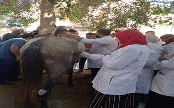 جامعة مدينة السادات تنظم قافلة بيطرية وزراعية بالشهداء ضمن «حياة كريمة» بالمنوفية
