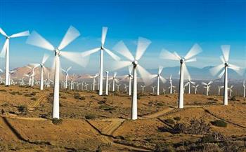 «نقلة إلى المستقبل».. المصريون يُشيدون بمشروع توليد الكهرباء من طاقة الرياح