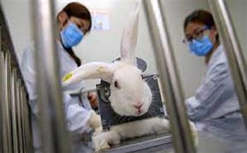 هل يجوز استخدام الحيوانات في التجارب المعملية؟ الإفتاء تجيب