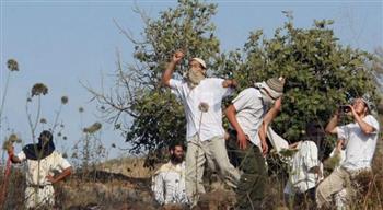 مستوطنون يهاجمون منازل سكان قرية فلسطينية ويضرمون النار في أراضيهم