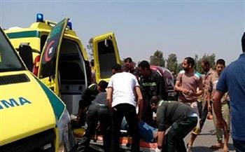 إصابة 3 أشخاص في انقلاب سيارة على الطريق الصحراوي الغربي بأسوان