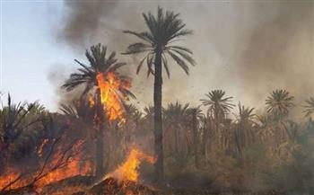 اندلاع حريق كبير في إحدى قرى محافظة المنيا