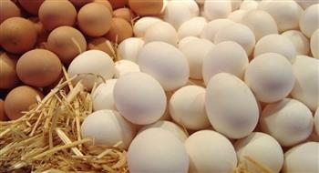 أقل 30% من السوق.. كيف تواجه الزراعة أزمة ارتفاع أسعار البيض والدواجن؟