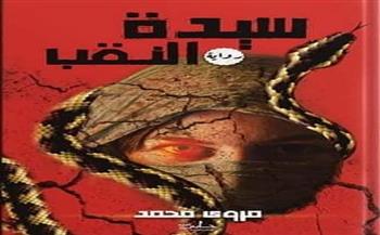 الصراع العربي الإسرائيلي واقع مستمر فى رواية مروى محمد "سيدة النقب"