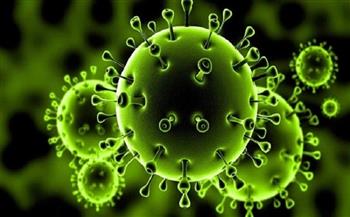 التغذية السليمة خط الدفاع الأول ضد عدوى فيروس كورونا 