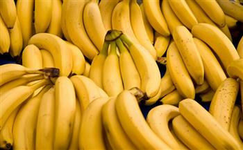 غنى بالحديد ويعزز هرمون السعادة.. فوائد مذهلة لتناول الموز 