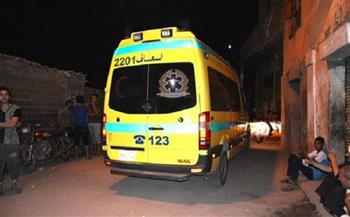 الاستعلام عن الحالة الصحية لـ8 مصابين في حادث انقلاب ميكروباص بكورنيش النيل