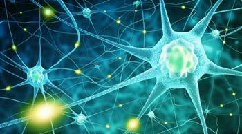 دراسة أمريكية توضح دور الخلايا الدهنية في التدهور المعرفي والتنكس العصبي