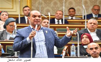 برلماني: تقرير "فيتش" للتصنيف الائتماني يجسد قوة وصلابة الاقتصاد المصري