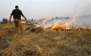 كفر الشيخ تتصدي لظاهرة حرق قش الأرز حفاظا على البيئة من التلوث (خاص)