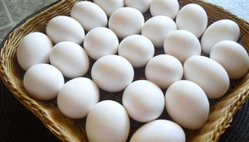  التموين : توريد 6300 كرتونة بيض في المجمعات الاستهلاكية