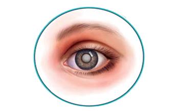 دراسة تكشف أن حجم بؤبؤ العينين يتغير مع عدد الأشياء التي نراقبها