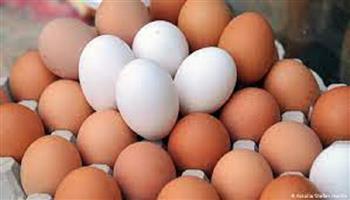 أسعار البيض اليوم الخميس 28-10-2021 