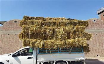 وزيرة البيئة تصدر إجراءات قانونية ضد ١٢ مزارع قام بحرق قش الأرز