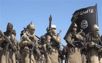 ضربة موجعة لتنظيم داعش بعد تعيين زعيم جديد له بالساحل الإفريقي