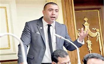 أحمد بهاء شلبي رئيسا للهيئة البرلمانية لحزب "حماة الوطن"