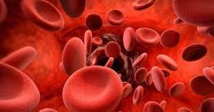 قد تسبب الوفاة.. «فقر الدم اللاتنسجي ».. أخطر أنواع الأنيميا 
