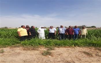 الزراعة: ختام فعاليات زيارة «أكساد» ومركز بحوث الصحراء لمحافظة جنوب سيناء