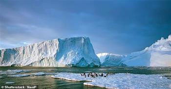 الخارجية البريطانية: تسمية أحد الصفائح الجليدية المعرضة للذوبان بالقطب الجنوبي بـ"جلاسكو"