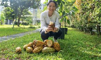 طباخة حلوى تزرع 1000 شجرة كاكاو في سنغافورة لهذا السبب
