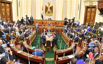 مجلس النواب يوافق على تغليظ عقوبة التنمر على ذوي الاعاقة ويحيله لمجلس الدولة 