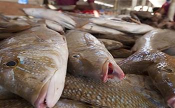 أسعار الأسماك اليوم 7-10-2021