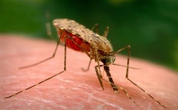 بعد عقود من التجارب.. معلومات عن الملاريا وأول لقاح لعلاجها