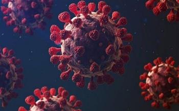تركيا تسجل أكثر من 30 ألف إصابة جديدة بفيروس كورونا