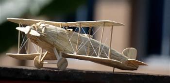 باستخدام 1360 عود ثقاب.. فنان هندي يصنع نموذجا لطائرة عسكرية 