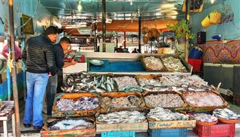  أسعار الأسماك اليوم 9-10-2021