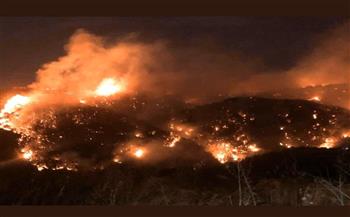 لبنان: حرائق كبيرة بمساحات من غابات عكار وجهود مكثفة للسيطرة عليها