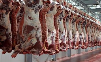 استقرار أسعار اللحوم البلدي اليوم 2-11-2021
