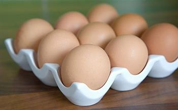 أسعار البيض اليوم 2-11-2021