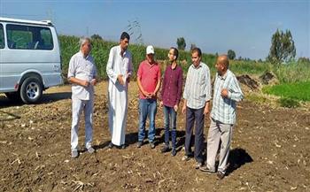 زراعة كفر الشيخ: تجهيز الحقول الإرشادية لمحصول القمح لترشيد المياه 