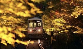 خلال رحلتهم اليومية.. ركاب مترو اليابان يستمتعون بألوان الخريف (فيديو)