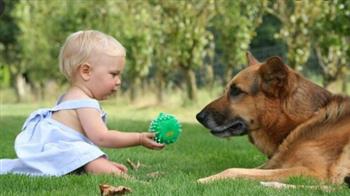 فيديو طريف لكلب يريد اللعب مع صديقه الرضيع