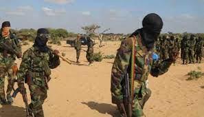 تُحرّم كرة القدم.. 10 معلومات عن جماعة «الشباب» الإرهابية فى الصومال