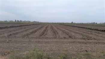 كفرالشيخ: فحص ومتابعة زراعة القمح على مصاطب ضمن مشروع ترشيد استهلاك المياه
