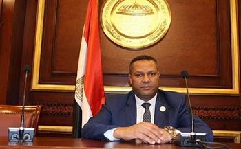 برلماني: كلمة الرئيس السيسي لدعم ليبيا تؤكد اهتمام مصر بالقضايا العربية